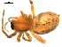  ( - CCDB-08823-E09)  @12 [ ] CC-0  Gergin Blagoev, Centre for Biodiversity Genomics Unspecified