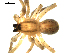  ( - CCDB-08823-G05)  @12 [ ] CC-0  Gergin Blagoev, Centre for Biodiversity Genomics Unspecified