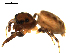  ( - CCDB-08823-H05)  @12 [ ] CC-0  Gergin Blagoev, Centre for Biodiversity Genomics Unspecified