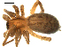  ( - CCDB-08823-H07)  @13 [ ] CC-0  Gergin Blagoev, Centre for Biodiversity Genomics Unspecified