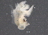  ( - BIOUG03788-G05)  @11 [ ] CreativeCommons - Attribution (2014) CBG Photography Group Centre for Biodiversity Genomics