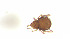  ( - RE21-AT1-ORI-0083)  @11 [ ] CreativeCommons - Attribution Non-Commercial (by-nc) (2021) Unspecified Technischer Universität Darmstadt