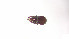  ( - RE21-AT1-ORI-0111)  @11 [ ] CreativeCommons - Attribution Non-Commercial (by-nc) (2021) Unspecified Technischer Universität Darmstadt