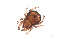  ( - RE21-AT1-ORI-0117)  @11 [ ] CreativeCommons - Attribution Non-Commercial (by-nc) (2021) Unspecified Technischer Universität Darmstadt