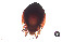  (M3-Orie - RE21-AT1-ORI-0118)  @11 [ ] CreativeCommons - Attribution Non-Commercial (by-nc) (2021) Unspecified Technischer Universität Darmstadt