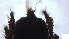  ( - RE21-AT1-ORI-0120)  @11 [ ] CreativeCommons - Attribution Non-Commercial (by-nc) (2021) Unspecified Technischer Universität Darmstadt