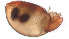  ( - RE21-AT1-ORI-0124)  @11 [ ] CreativeCommons - Attribution Non-Commercial (by-nc) (2021) Unspecified Technischer Universität Darmstadt