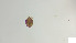  ( - RE21-AT1-ORI-0139)  @11 [ ] CreativeCommons - Attribution Non-Commercial (by-nc) (2021) Unspecified Technischer Universität Darmstadt