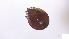  (M1-Orie - RE21-AT1-ORI-0163)  @11 [ ] CreativeCommons - Attribution Non-Commercial (by-nc) (2021) Unspecified Technischer Universität Darmstadt