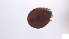  ( - RE21-AT1-ORI-0163)  @11 [ ] CreativeCommons - Attribution Non-Commercial (by-nc) (2021) Unspecified Technischer Universität Darmstadt