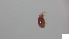  ( - RE21-AT1-ORI-0171)  @11 [ ] CreativeCommons - Attribution Non-Commercial (by-nc) (2021) Unspecified Technischer Universität Darmstadt