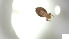  ( - RE21-AT1-ORI-0207)  @11 [ ] CreativeCommons - Attribution Non-Commercial (by-nc) (2021) Unspecified Technischer Universität Darmstadt