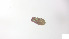 ( - RE21-AT1-ORI-0291)  @11 [ ] CreativeCommons - Attribution Non-Commercial (by-nc) (2021) Unspecified Technischer Universität Darmstadt