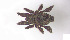  ( - RE21-AT1-ORI-0345)  @11 [ ] CreativeCommons - Attribution Non-Commercial (by-nc) (2021) Unspecified Technischer Universität Darmstadt