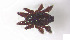  ( - RE21-AT1-ORI-0345)  @11 [ ] CreativeCommons - Attribution Non-Commercial (by-nc) (2021) Unspecified Technischer Universität Darmstadt