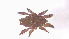  ( - RE21-AT1-ORI-0349)  @11 [ ] CreativeCommons - Attribution Non-Commercial (by-nc) (2021) Unspecified Technischer Universität Darmstadt