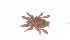  (M2-Nan - RE21-AT1-ORI-0349)  @11 [ ] CreativeCommons - Attribution Non-Commercial (by-nc) (2021) Unspecified Technischer Universität Darmstadt