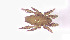  ( - RE21-AT1-ORI-0350)  @11 [ ] CreativeCommons - Attribution Non-Commercial (by-nc) (2021) Unspecified Technischer Universität Darmstadt