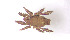  ( - RE21-AT1-ORI-0350)  @11 [ ] CreativeCommons - Attribution Non-Commercial (by-nc) (2021) Unspecified Technischer Universität Darmstadt