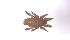  ( - RE21-AT1-ORI-0353)  @11 [ ] CreativeCommons - Attribution Non-Commercial (by-nc) (2021) Unspecified Technischer Universität Darmstadt