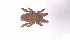  ( - RE21-AT1-ORI-0353)  @11 [ ] CreativeCommons - Attribution Non-Commercial (by-nc) (2021) Unspecified Technischer Universität Darmstadt