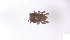  ( - RE21-AT1-ORI-0354)  @11 [ ] CreativeCommons - Attribution Non-Commercial (by-nc) (2021) Unspecified Technischer Universität Darmstadt