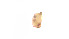  (Euphthiracaridae_incertae_sedis - RE21-AT1-ORI-0363)  @11 [ ] CreativeCommons - Attribution Non-Commercial (by-nc) (2021) Unspecified Technischer Universität Darmstadt