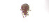  ( - RE21-AT1-ORI-0381)  @11 [ ] CreativeCommons - Attribution Non-Commercial (by-nc) (2021) Unspecified Technischer Universität Darmstadt