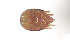  ( - RE21-AT1-ORI-0384)  @11 [ ] CreativeCommons - Attribution Non-Commercial (by-nc) (2021) Unspecified Technischer Universität Darmstadt