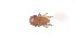  ( - RE21-AT1-ORI-0394)  @11 [ ] CreativeCommons - Attribution Non-Commercial (by-nc) (2021) Unspecified Technischer Universität Darmstadt