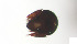  ( - RE21-AT1-ORI-0401)  @11 [ ] CreativeCommons - Attribution Non-Commercial (by-nc) (2021) Unspecified Technischer Universität Darmstadt