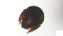  ( - RE21-AT1-ORI-0401)  @11 [ ] CreativeCommons - Attribution Non-Commercial (by-nc) (2021) Unspecified Technischer Universität Darmstadt