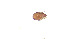  (Haplozetidae_incertae_sedis - RE21-AT1-ORI-0408)  @11 [ ] CreativeCommons - Attribution Non-Commercial (by-nc) (2021) Unspecified Technischer Universität Darmstadt
