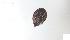  ( - RE21-AT1-ORI-0409)  @11 [ ] CreativeCommons - Attribution Non-Commercial (by-nc) (2021) Unspecified Technischer Universität Darmstadt