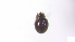  ( - RE21-AT1-ORI-0409)  @11 [ ] CreativeCommons - Attribution Non-Commercial (by-nc) (2021) Unspecified Technischer Universität Darmstadt