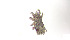  ( - RE21-AT1-ORI-0413)  @11 [ ] CreativeCommons - Attribution Non-Commercial (by-nc) (2021) Unspecified Technischer Universität Darmstadt
