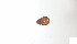  ( - RE21-AT1-ORI-0417)  @11 [ ] CreativeCommons - Attribution Non-Commercial (by-nc) (2021) Unspecified Technischer Universität Darmstadt