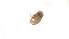  (Carabodidae_incertae_sedis - RE21-AT1-ORI-0438)  @11 [ ] CreativeCommons - Attribution Non-Commercial (by-nc) (2021) Unspecified Technischer Universität Darmstadt