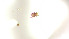  ( - RE21-AT1-ORI-0443)  @11 [ ] CreativeCommons - Attribution Non-Commercial (by-nc) (2021) Unspecified Technischer Universität Darmstadt