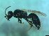  ( - bf-cra-00016)  @11 [ ] CreativeCommons - Attribution Share-Alike (2016) Olsen, K.M. BioFokus