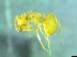  ( - bf-for-00006)  @12 [ ] CreativeCommons - Attribution Share-Alike (2016) Olsen, K.M. BioFokus