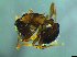  ( - bf-for-00026)  @13 [ ] CreativeCommons - Attribution Share-Alike (2016) Olsen, K.M. BioFokus