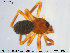  ( - TRD-ARA86)  @11 [ ] CreativeCommons - Attribution Non-Commercial Share-Alike (2014) NTNU University Museum, Department of Natural History NTNU University Museum, Department of Natural History
