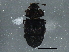  ( - BIOUG02651-A12)  @12 [ ] CreativeCommons - Attribution (2013) CBG Photography Group Centre for Biodiversity Genomics