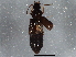  ( - BIOUG02651-C09)  @13 [ ] CreativeCommons - Attribution (2013) CBG Photography Group Centre for Biodiversity Genomics