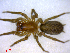  ( - BIOUG02607-C03)  @12 [ ] CreativeCommons - Attribution (2011) M. Alex Smith Centre for Biodiversity Genomics