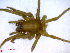  ( - BIOUG02607-G04)  @12 [ ] CreativeCommons - Attribution (2011) M. Alex Smith Centre for Biodiversity Genomics