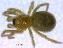  ( - BIOUG02613-B04)  @12 [ ] CreativeCommons - Attribution (2012) M. Alex Smith Centre for Biodiversity Genomics