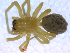  ( - BIOUG02613-B10)  @13 [ ] CreativeCommons - Attribution (2012) M. Alex Smith Centre for Biodiversity Genomics