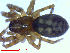  ( - BIOUG02613-E08)  @11 [ ] CreativeCommons - Attribution (2012) M. Alex Smith Centre for Biodiversity Genomics